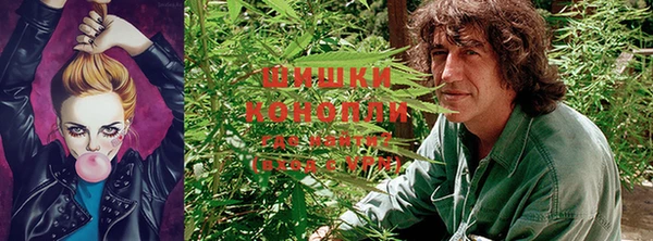 прущие крисы Арсеньев