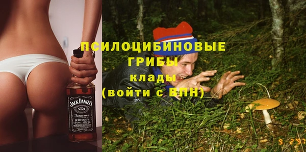 МДПВ Аркадак