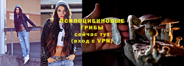 прущие крисы Арсеньев