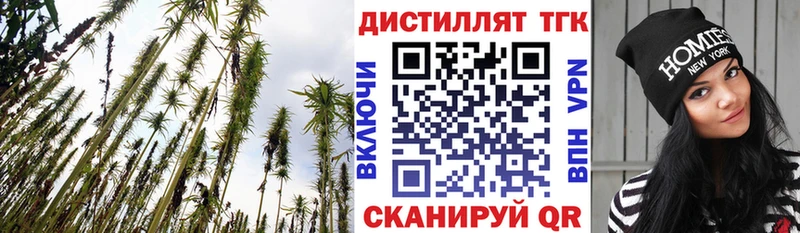 Купить где  Бабаево  ТГК жижа 