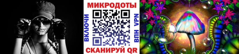 Купить закладки  Бабаево  Галлюциногенные грибы Psilocybe 